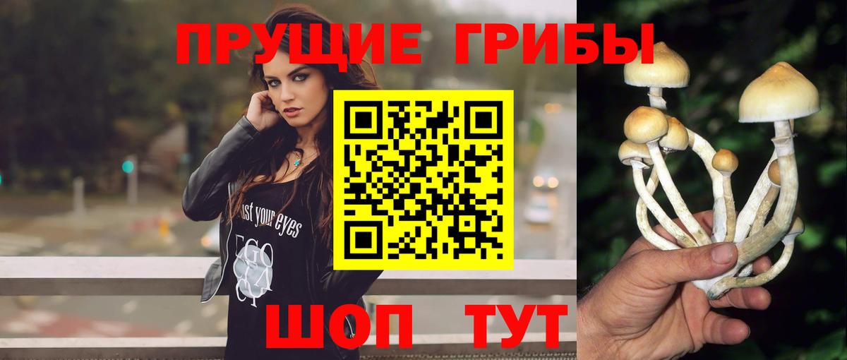 Галлюциногенные грибы MAGIC MUSHROOMS  Псилоцибиновые грибы Psilocybine cubensis  Вход с VPN  Оренбург 